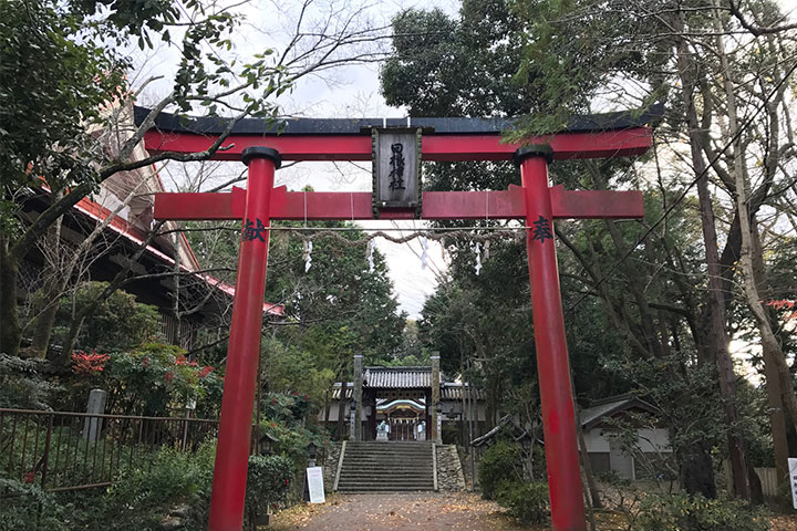 泉佐野周辺の神社-日根神社へ参拝と歴史